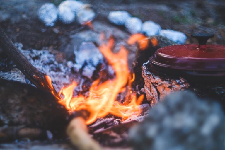 Culinary Delights: Cooking While Camping in the Heart of Ardennes