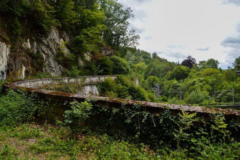 Unwind in Nature: Camping Retreats in the Ardennes