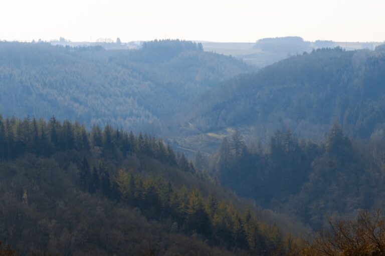 Exploring the Rich Culture of Ardennes Through Camping