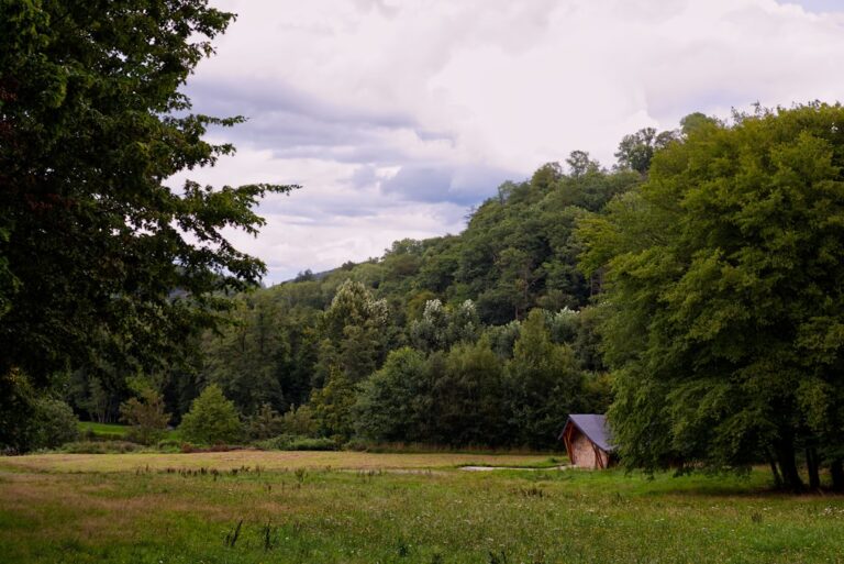 Top Tips for a Memorable Camping Trip in the Ardennes