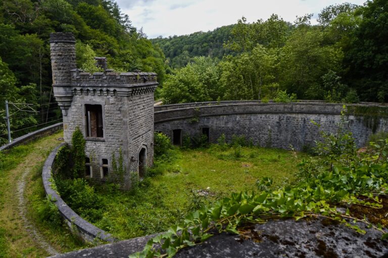 Exploring the Scenic Trails Around Ardennes Campsites